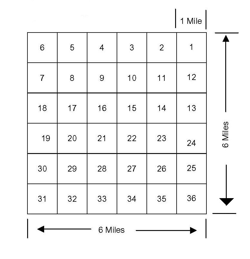 Sections